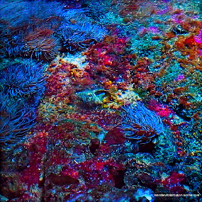 tumblr_pq7x3vcmFL1viuar9o1_540