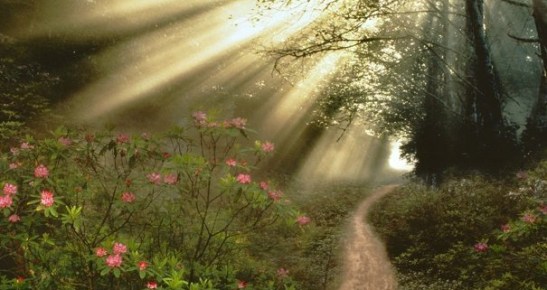 20180310-patriciagambetta-id144411-nuevaformadevida