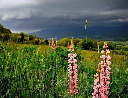 62150904_10210863715907833_6969760245186822144_n