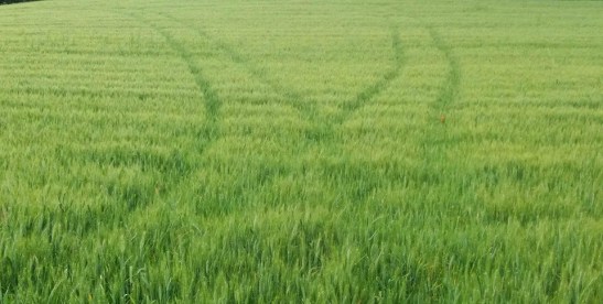 64479753_10215090600721466_8114001878586490880_n