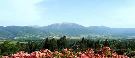 65294153_2074132569554360_8859971843168141312_o