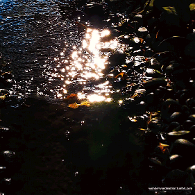 tumblr_ph4ih9M7VP1viuar9o1_540