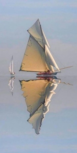 65424896_3014164188623618_9159964799008768000_n