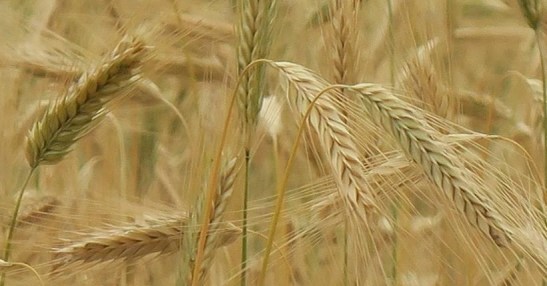 66519398_10212887413774939_1846316576949665792_n