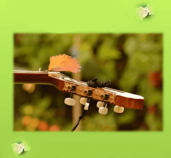 armonia-e1561961402498