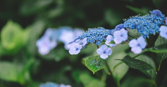 tumblr_puqpvqZ9CK1u9wc5qo6_1280