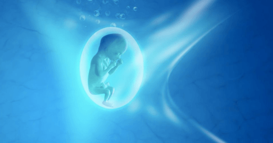 1563096129_como-el-alma-elige-a-sus-futuros-padres-para-reencarnar-nueva-mentes