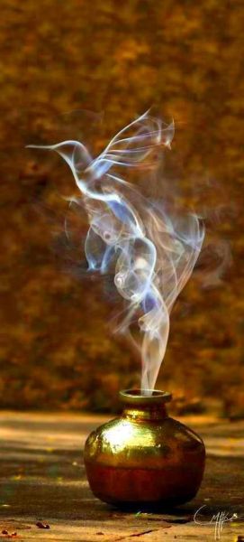 a0989f778ce40f119a93a6834242b0ca