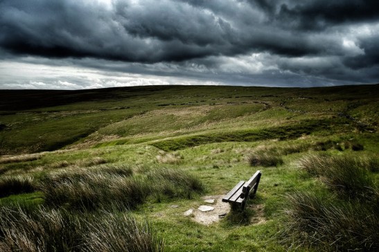 banco_en_los_paramos_2026_940x627