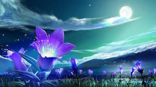 Flowers in the Magic Sunset-886854