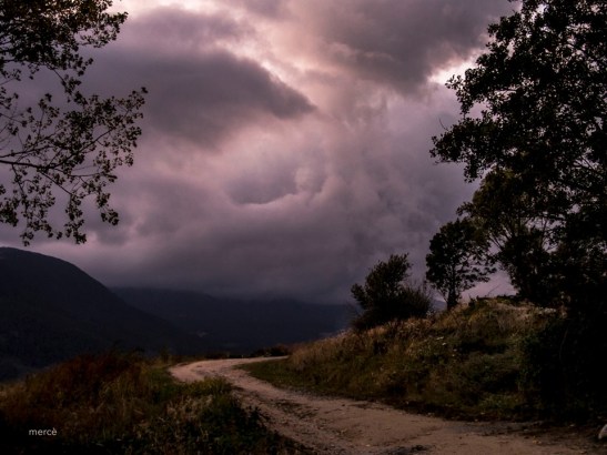 71825716_10220524807697338_7389010363934572544_n