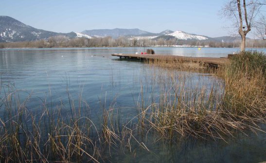 estany-banyoles-humides