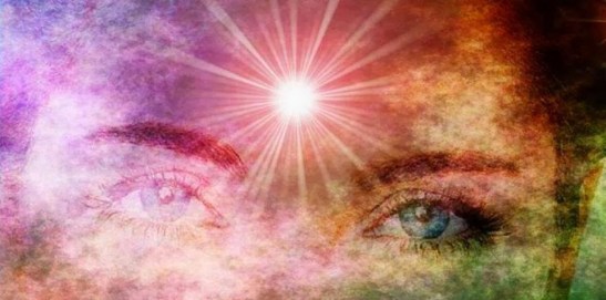 24165d_b5e875883f8842df9c69f8c0db756026