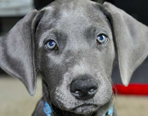 fotonoticia_20160223095538-16021602299_9999