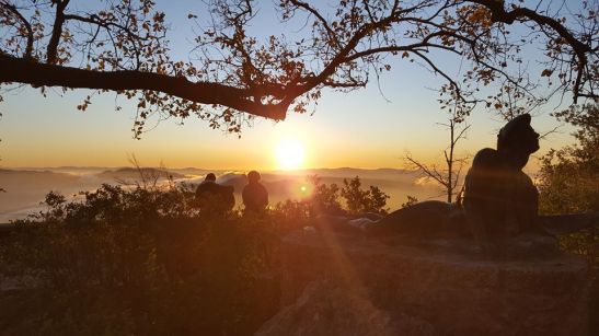 81251467_2670324013196806_8355345436797566976_o