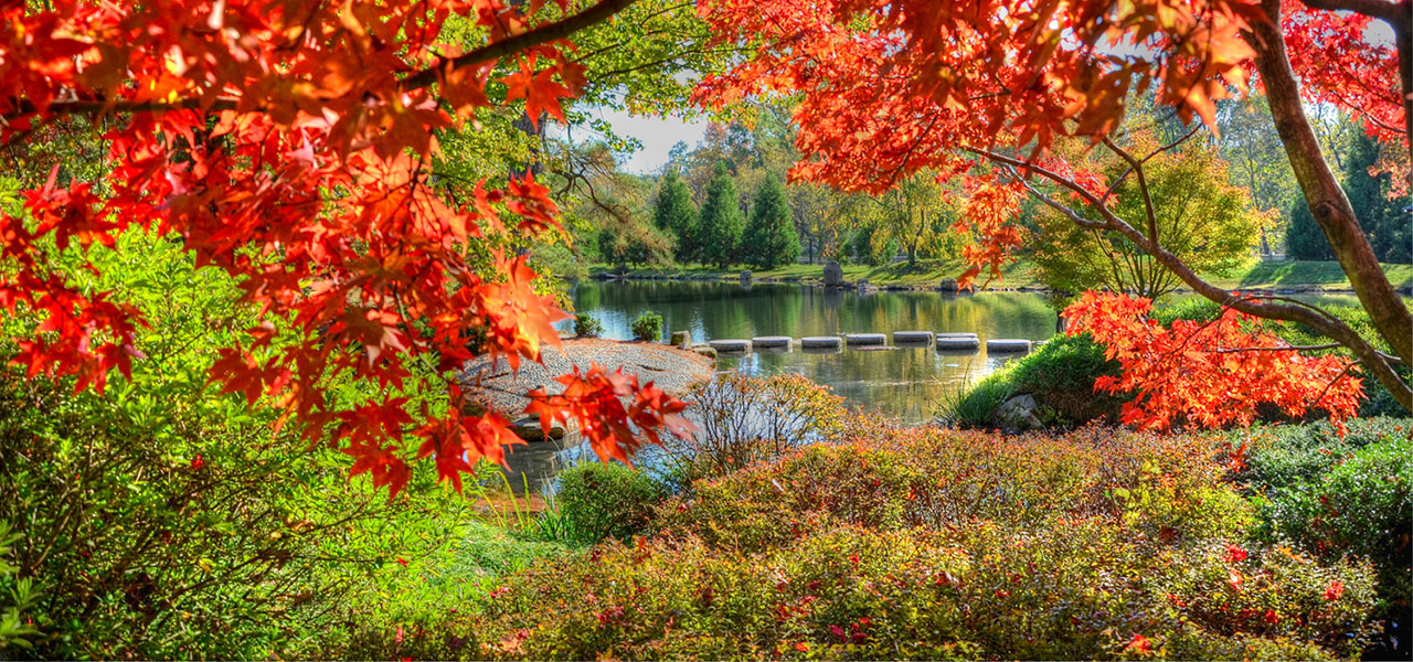 stepping-stones-fall-slideshow