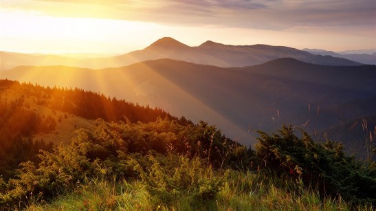 Sunrise_mountain_jungle-HD_Retina_Wallpaper_1366x768