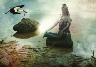 1406733588_Latesthdwallpapers-1024x681