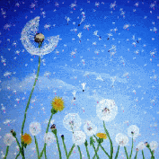 3BF8DC0E-1F1F-4612-9C7F-009B895D9C21