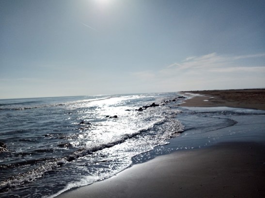 img_20191228_135556723