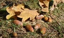 2019-10-21-11-44-01-1200x800