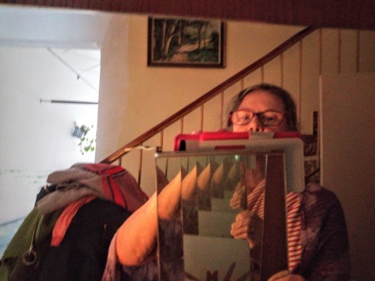 img_20200229_154125509