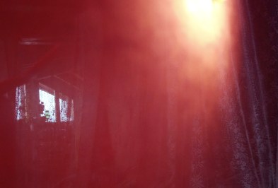 IMG_20200330_114743256