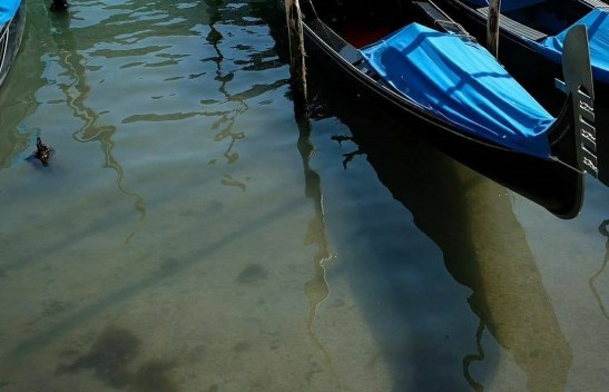 Los-canales-de-Venecia-vuelven-a-tener-aguas-cristalinas-Coronavirus_loqueva-11