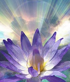 7d920556e0dca73a23f2d7ee1fc0be79