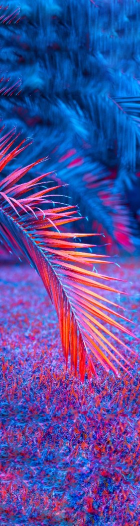 Captura de pantalla_20200524-074213-01