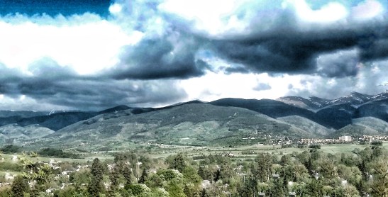 IMG_20200513_181759739-01