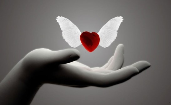 1502829_497408990382336_673717389_o