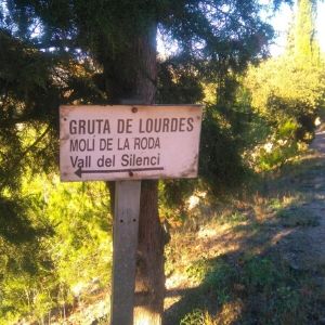 Diseño-sin-título-50