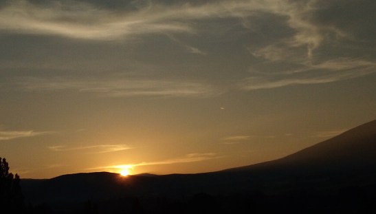 IMG_20200623_063300724