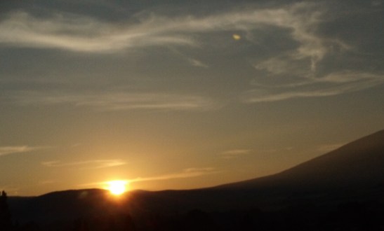 IMG_20200623_063353879