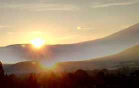 IMG_20200623_063416559