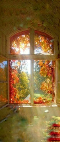 d4176f6fd45dc3848f2edf6acbcf9877-01