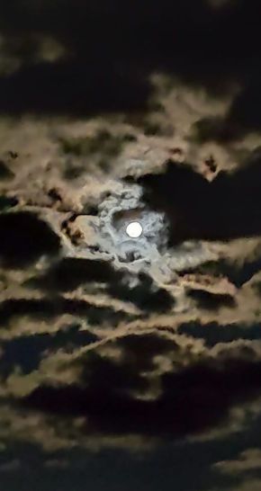 116827056_603139233722552_3655065368928922601_o