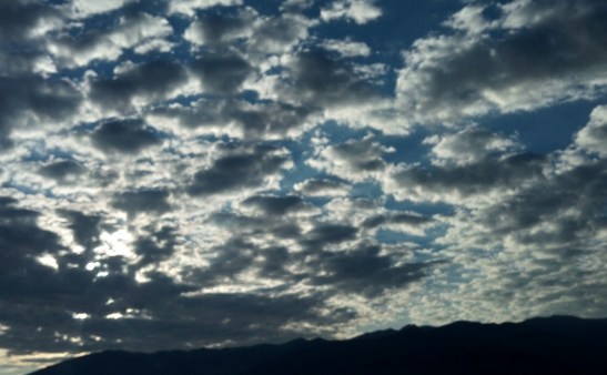 IMG_20200815_080253770