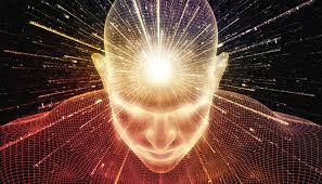 La diferencia entre información, conocimiento y sabiduría – CAFEYCAFE.com