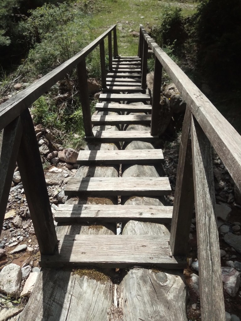 Aquesta imatge té un atribut alt buit; el nom de fitxer és img_20210708_130416339.jpg