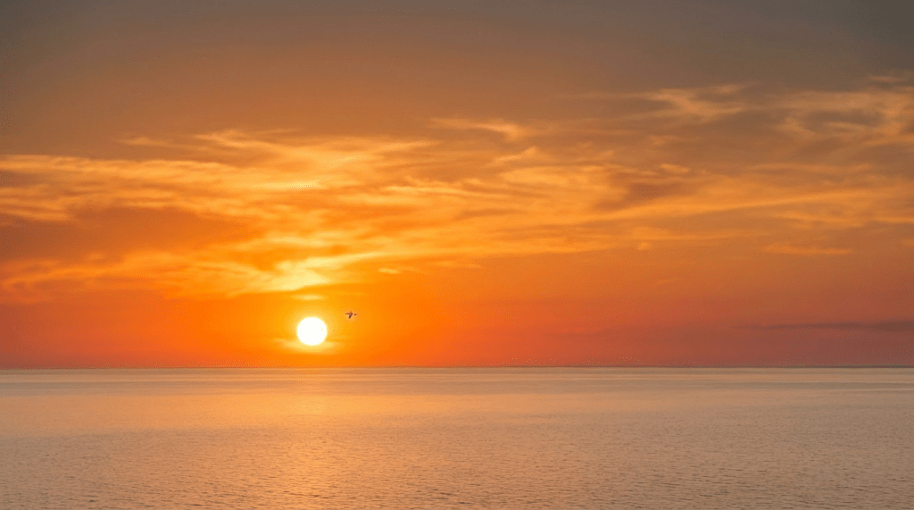 Silhouette of a bird flying in front of a bright orange sunset over a river and hills