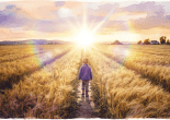 Child walking on path through wheat field at sunset