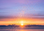 Sunset over a mountain range and sea with water droplets suspended in the air