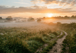 A dirt path running through a meadow with wildflowers and mist, with the sun rising behind distant trees
